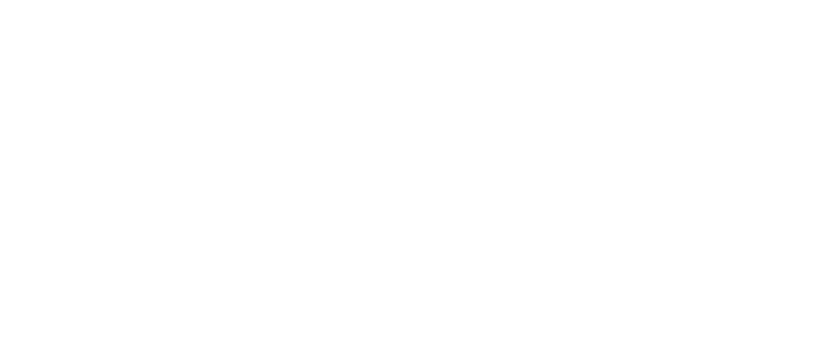 logo_perfect